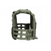 Recon Plate Carrier Warrior